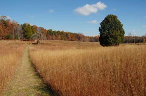 Spotsylvania